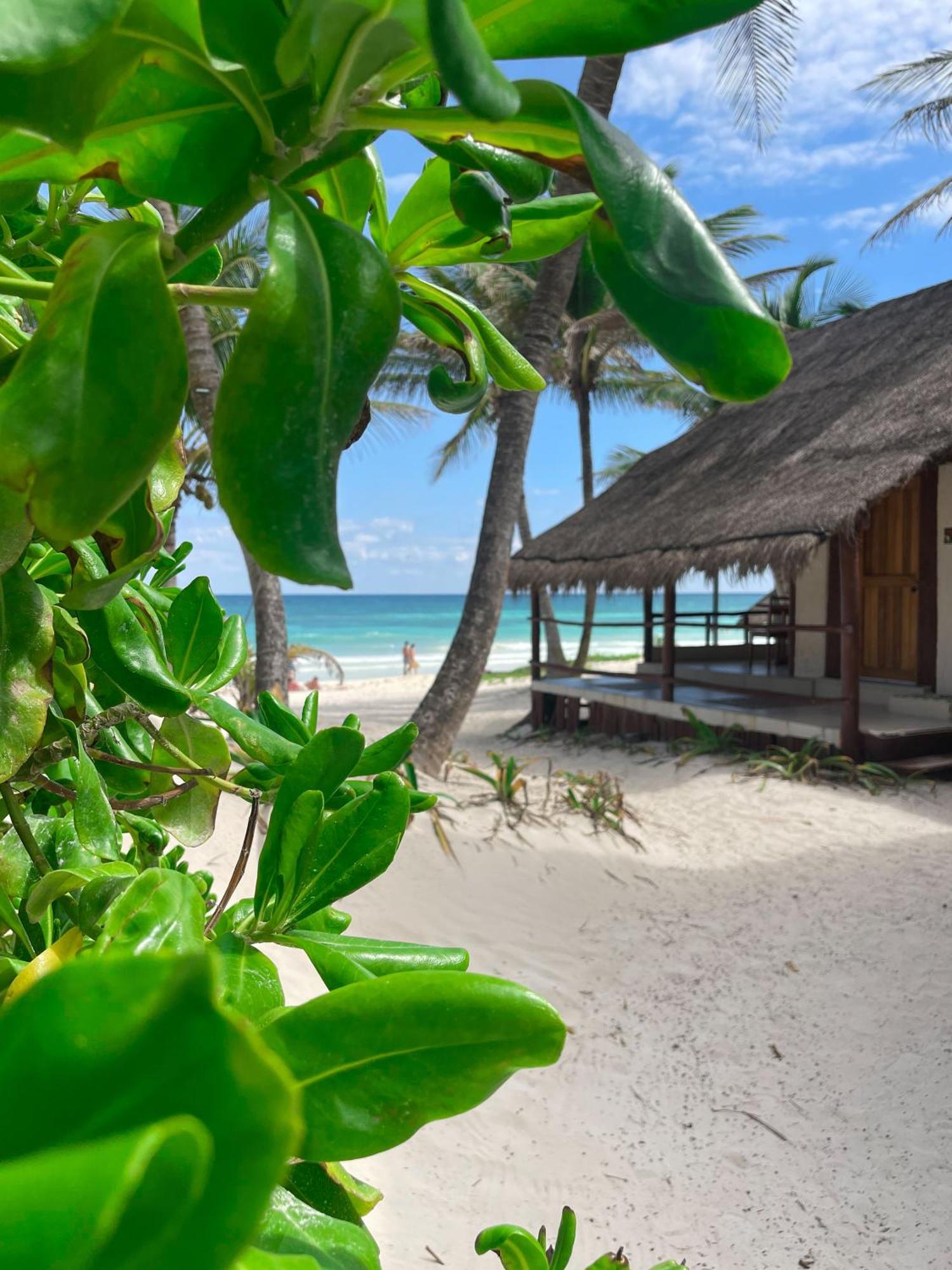 ホテル Bt Live Tulum Located At The Party Zone エクステリア 写真
