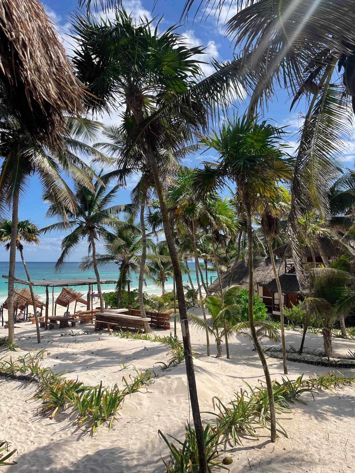 ホテル Bt Live Tulum Located At The Party Zone エクステリア 写真