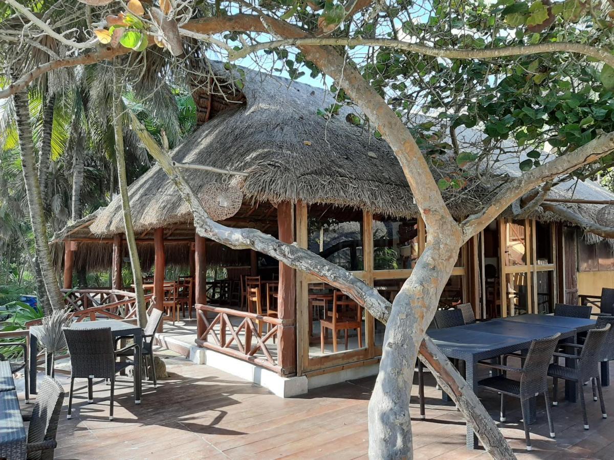 ホテル Bt Live Tulum Located At The Party Zone エクステリア 写真